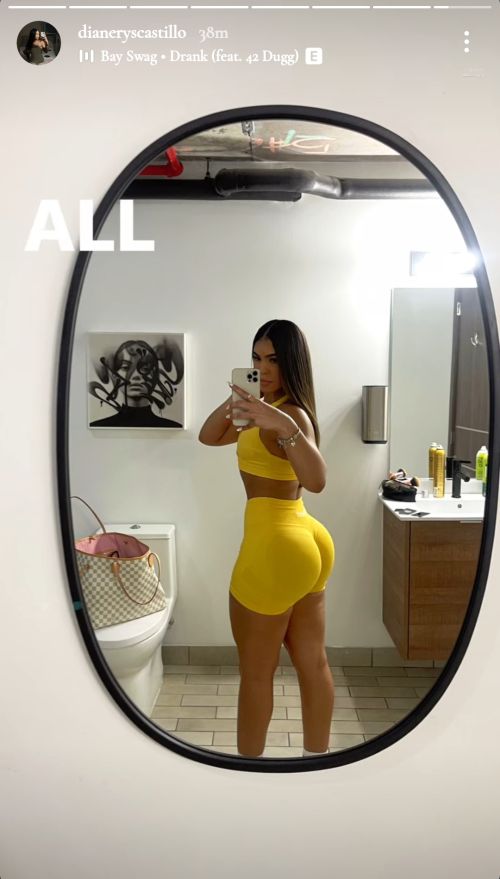 dianeryscastillo